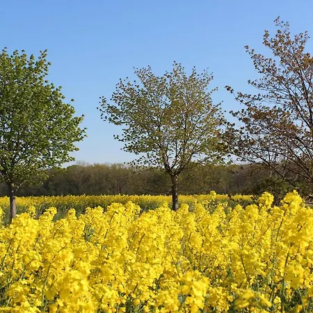 Herrenhaus App.18 Апартаменты *